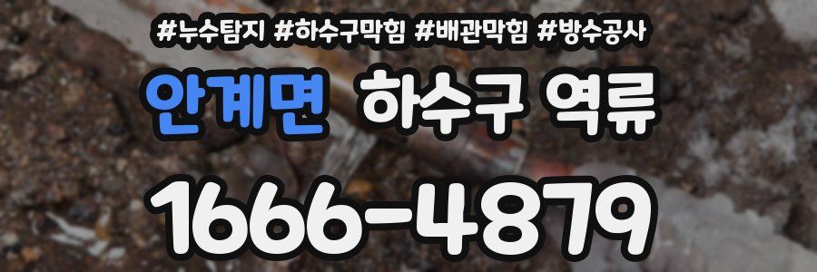 안계면 하수구 역류