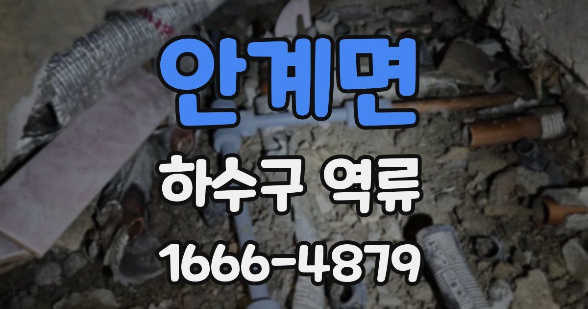 안계면 하수구 역류
