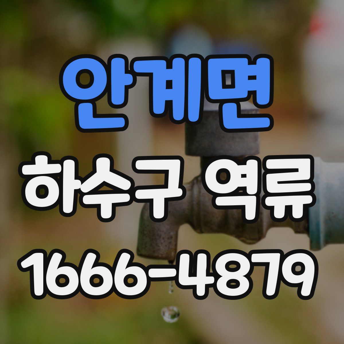 안계면 하수구 역류