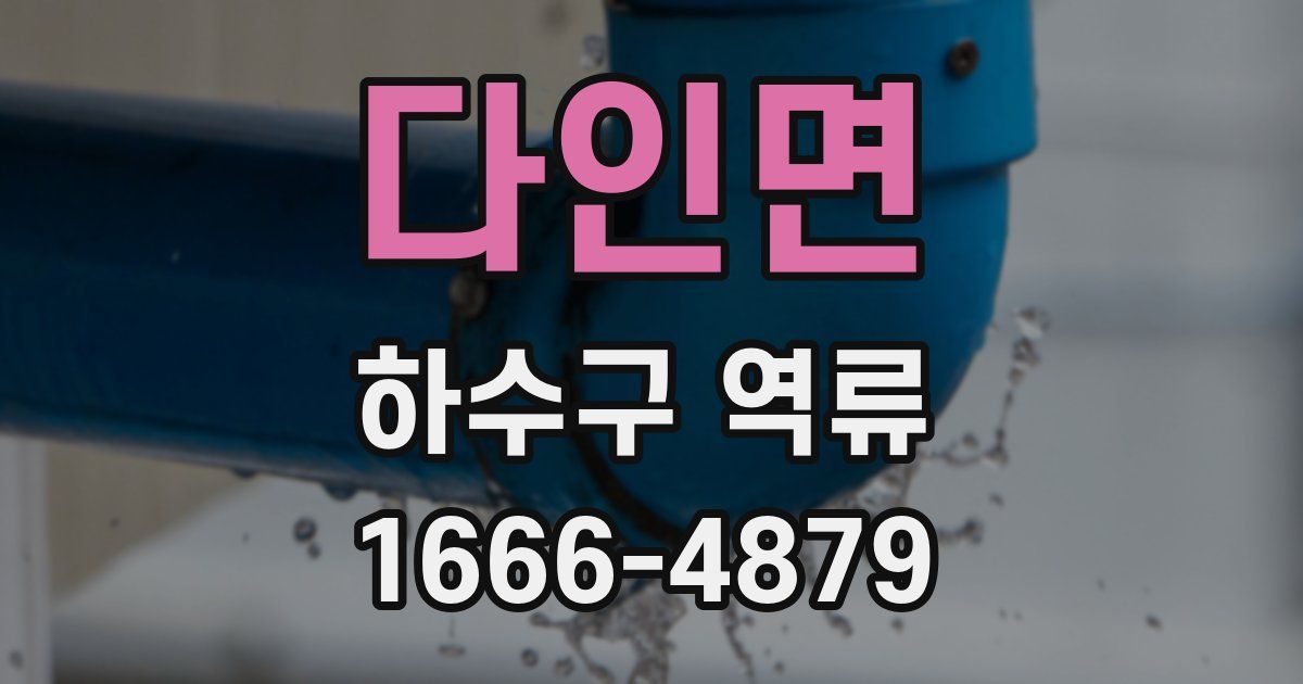 다인면 하수구 역류