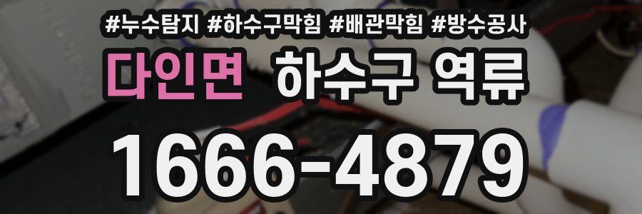 다인면 하수구 역류