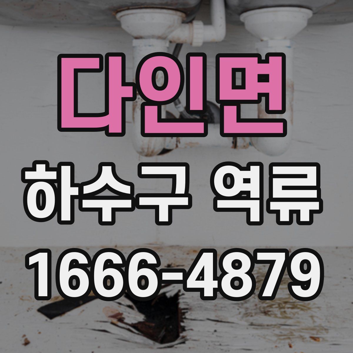 다인면 하수구 역류