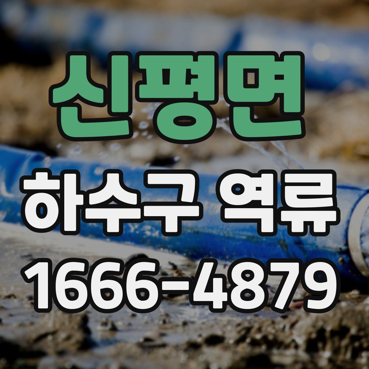 신평면 하수구 역류