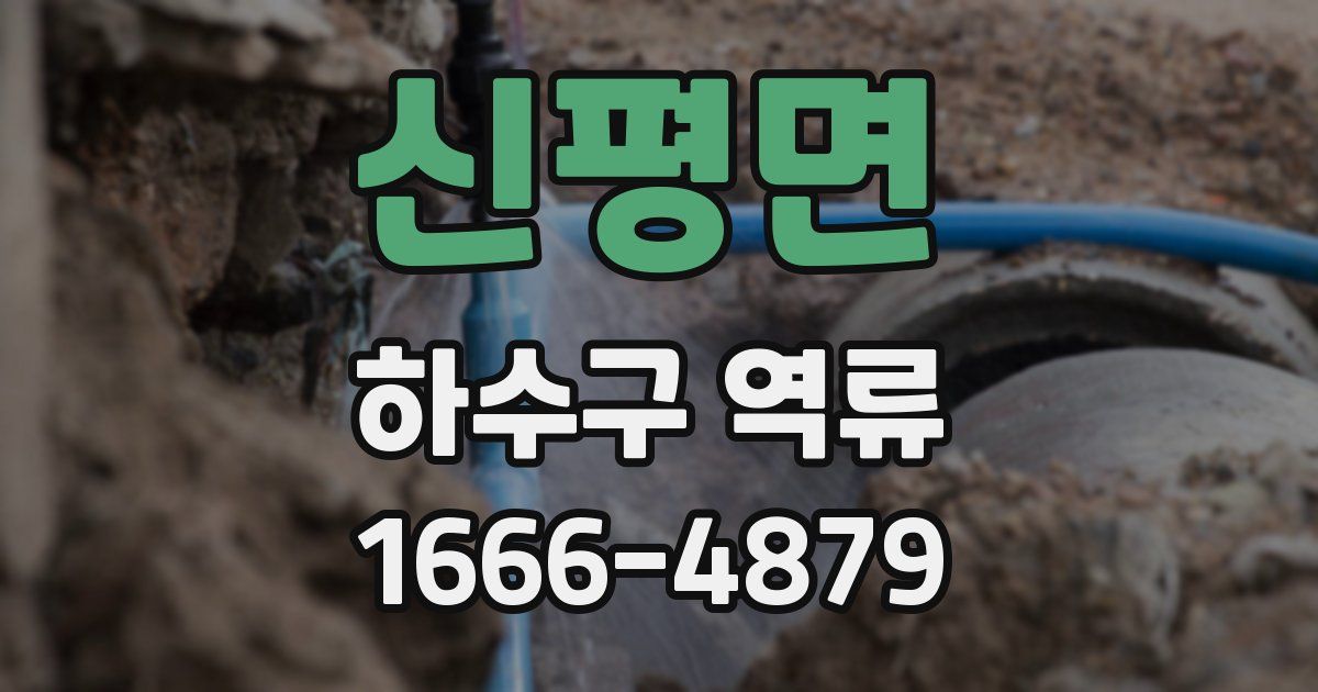 신평면 하수구 역류