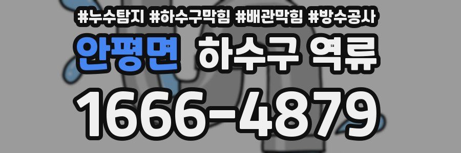 안평면 하수구 역류