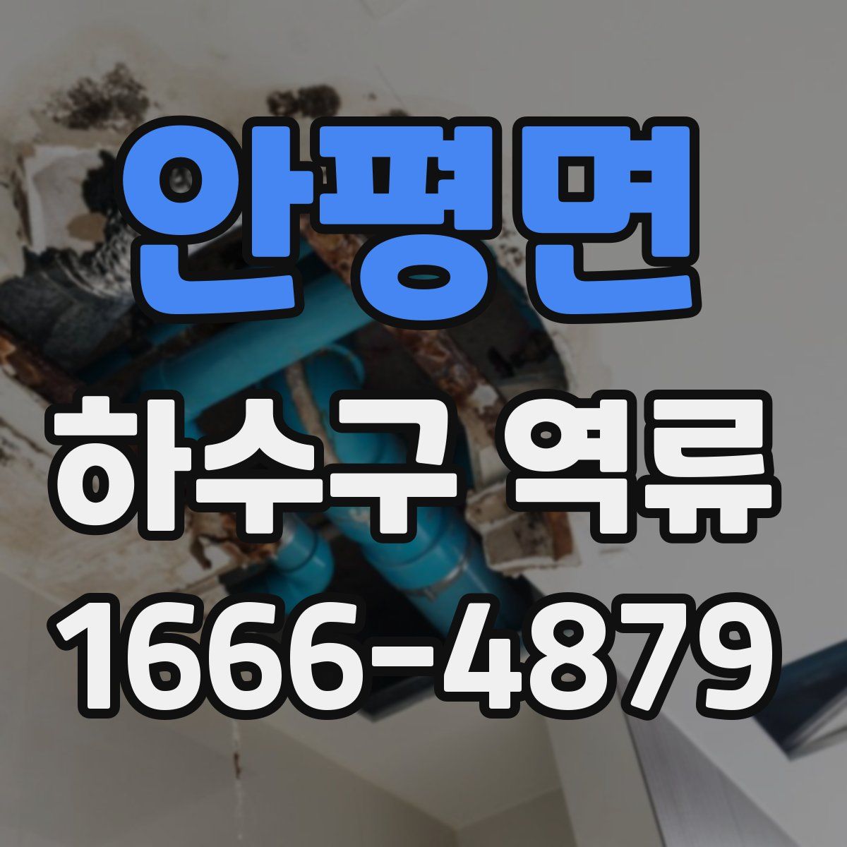 안평면 하수구 역류