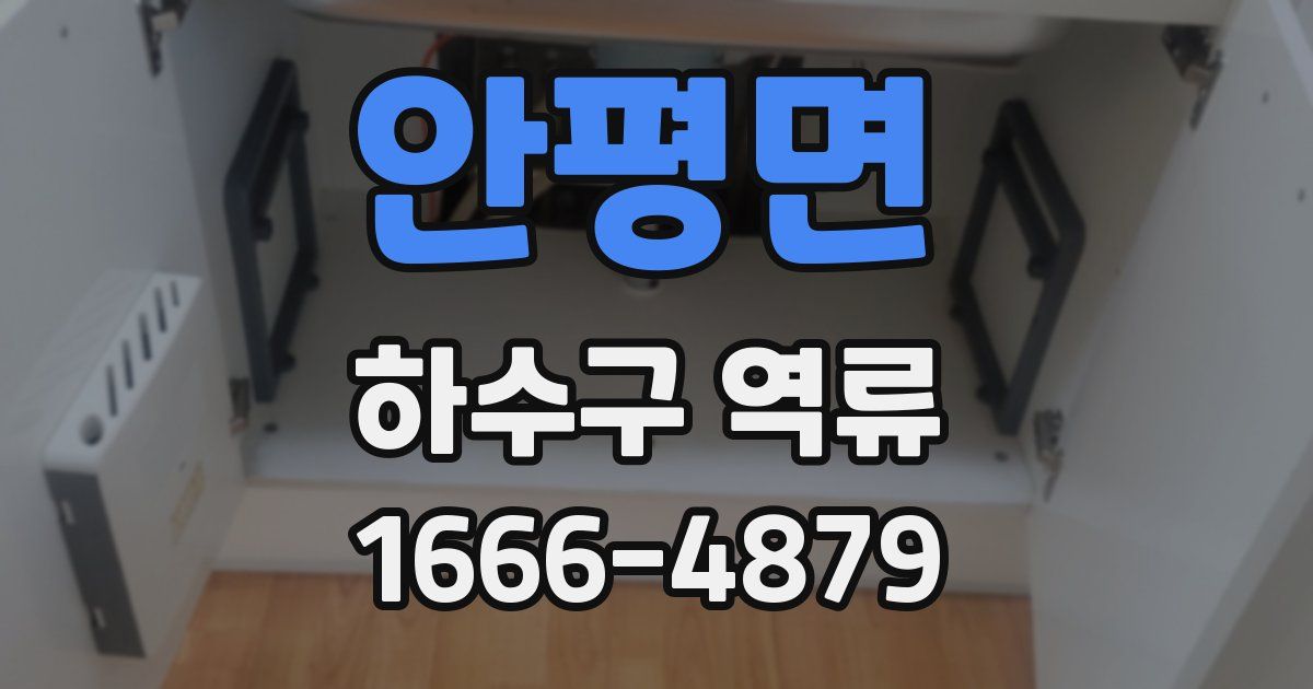 안평면 하수구 역류