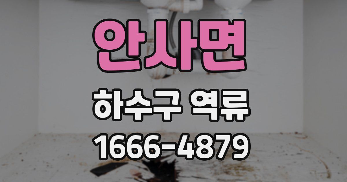안사면 하수구 역류