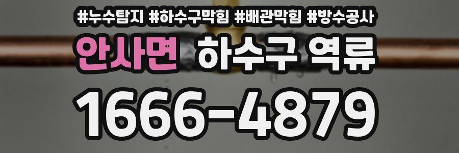 안사면 하수구 역류
