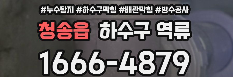 청송읍 하수구 역류