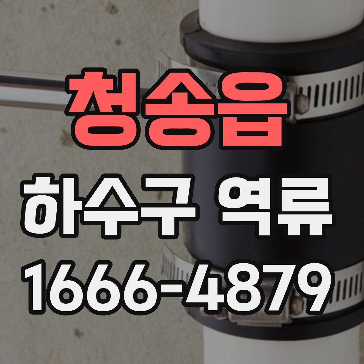 청송읍 하수구 역류