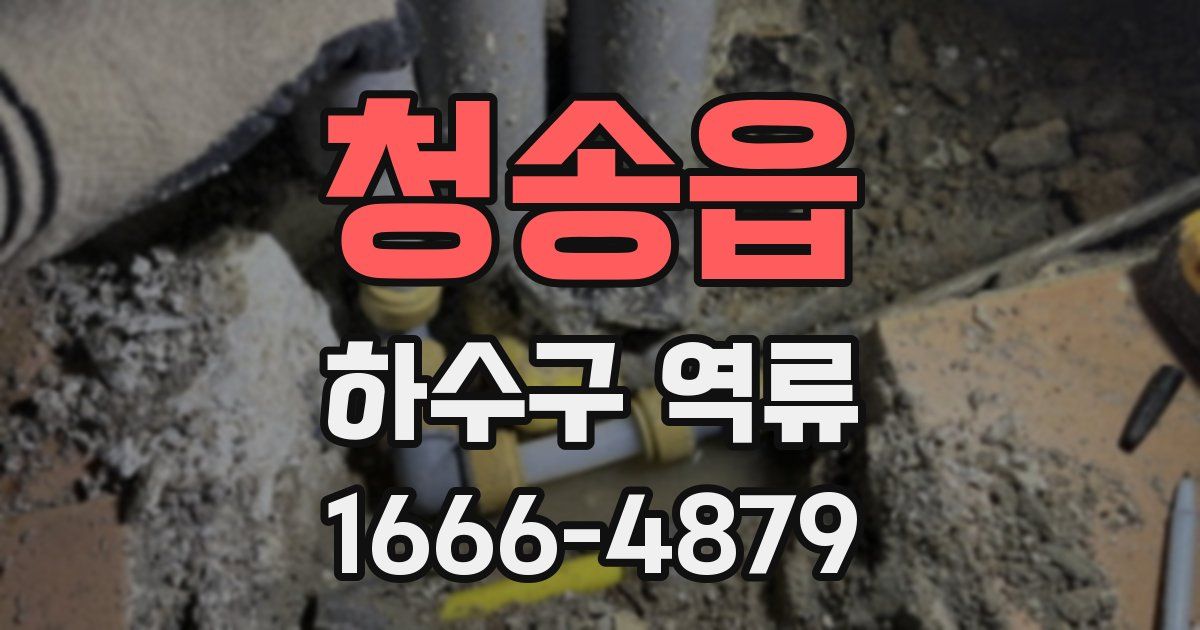 청송읍 하수구 역류