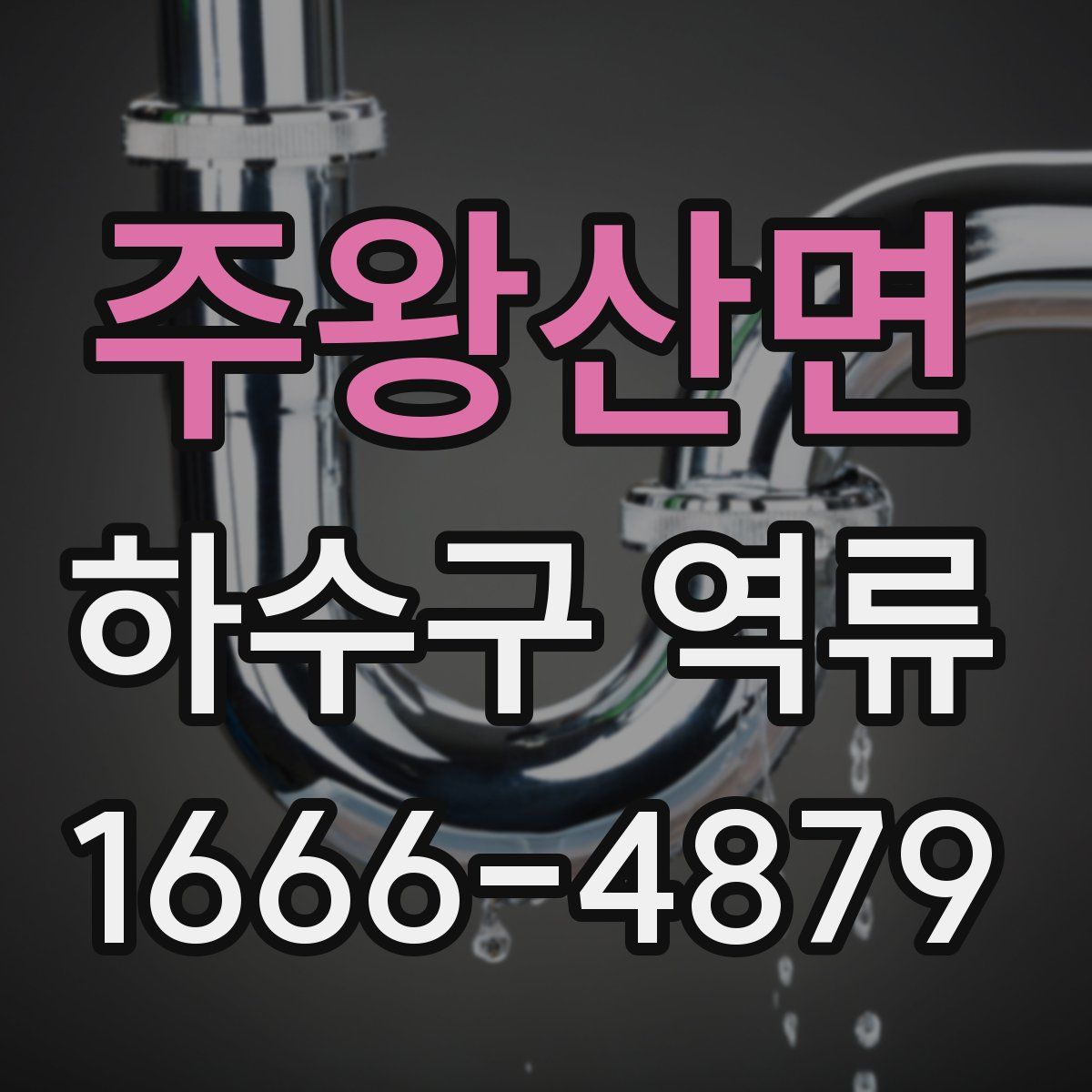 주왕산면 하수구 역류