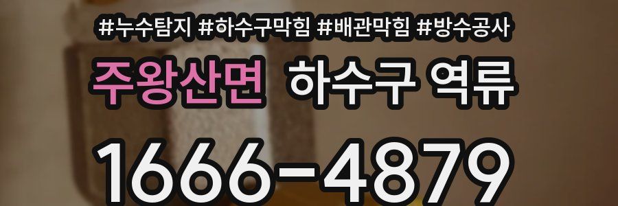 주왕산면 하수구 역류