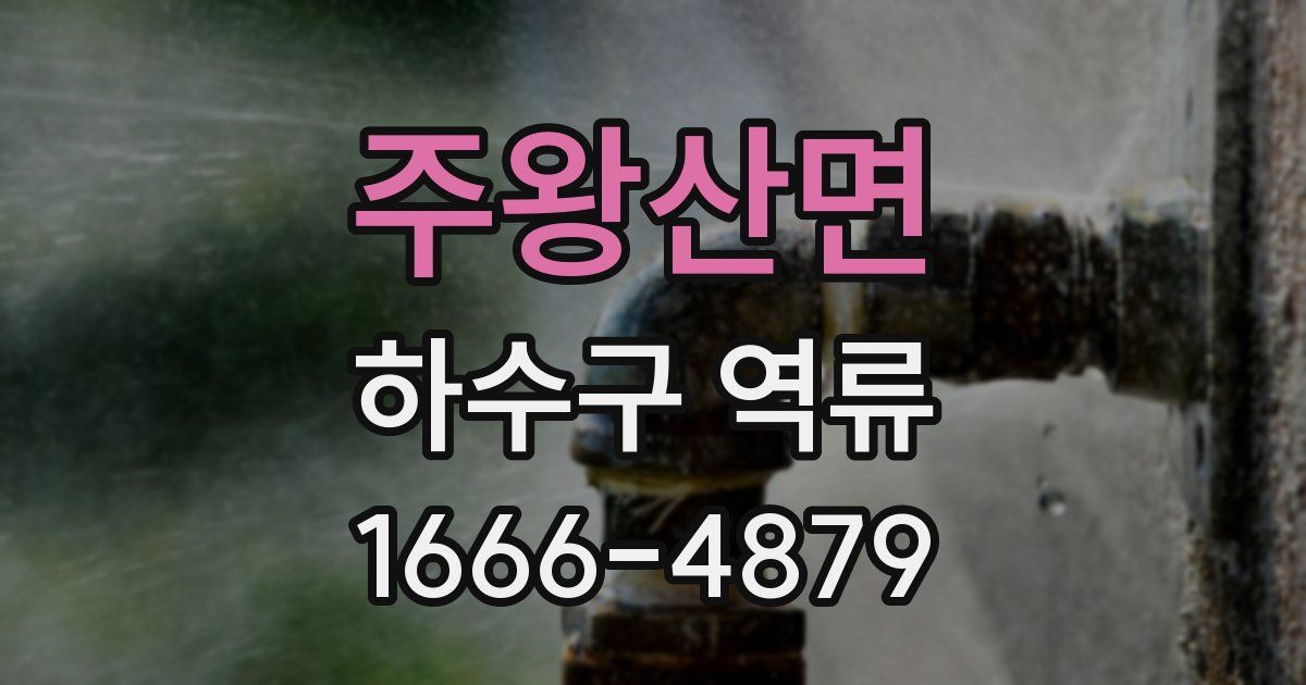 주왕산면 하수구 역류