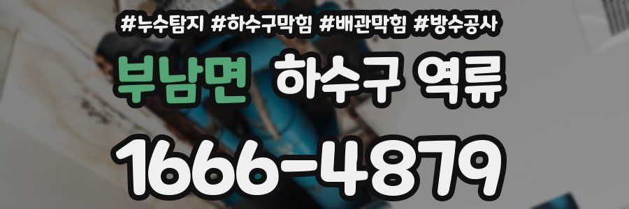 부남면 하수구 역류