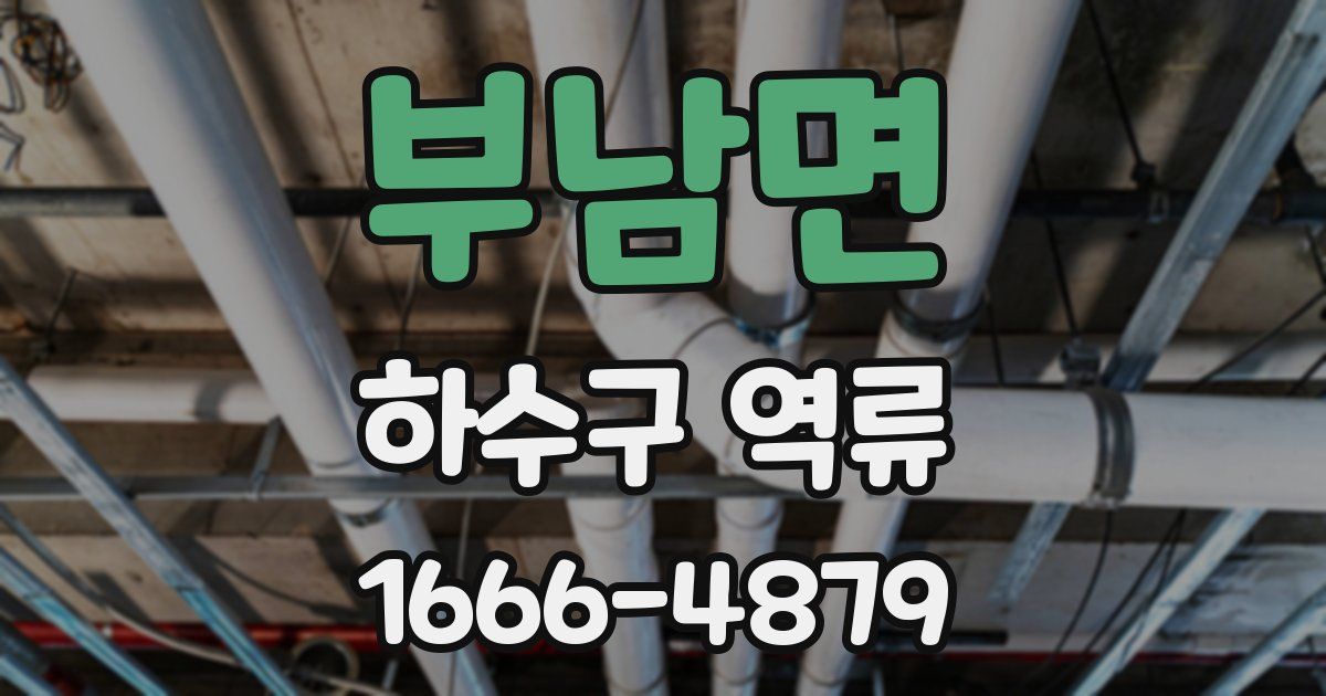 부남면 하수구 역류