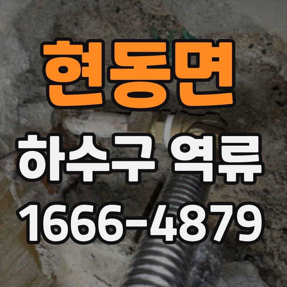 현동면 하수구 역류