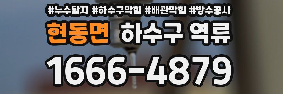현동면 하수구 역류
