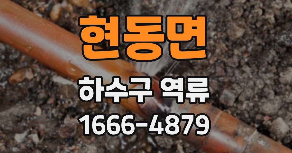 현동면 하수구 역류