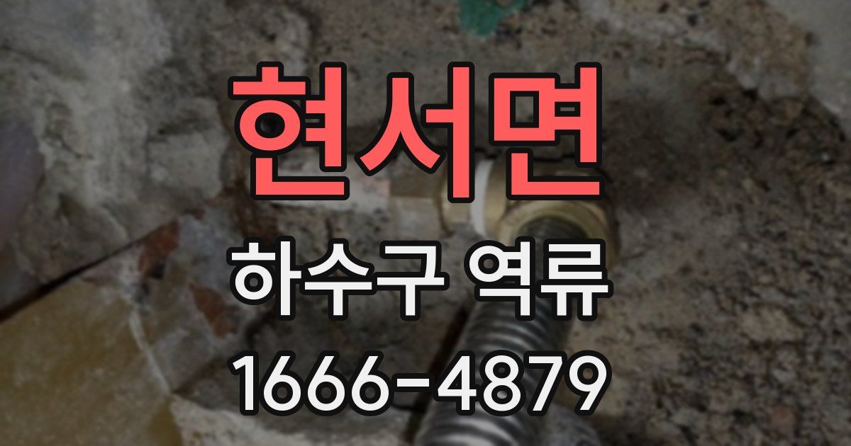 현서면 하수구 역류