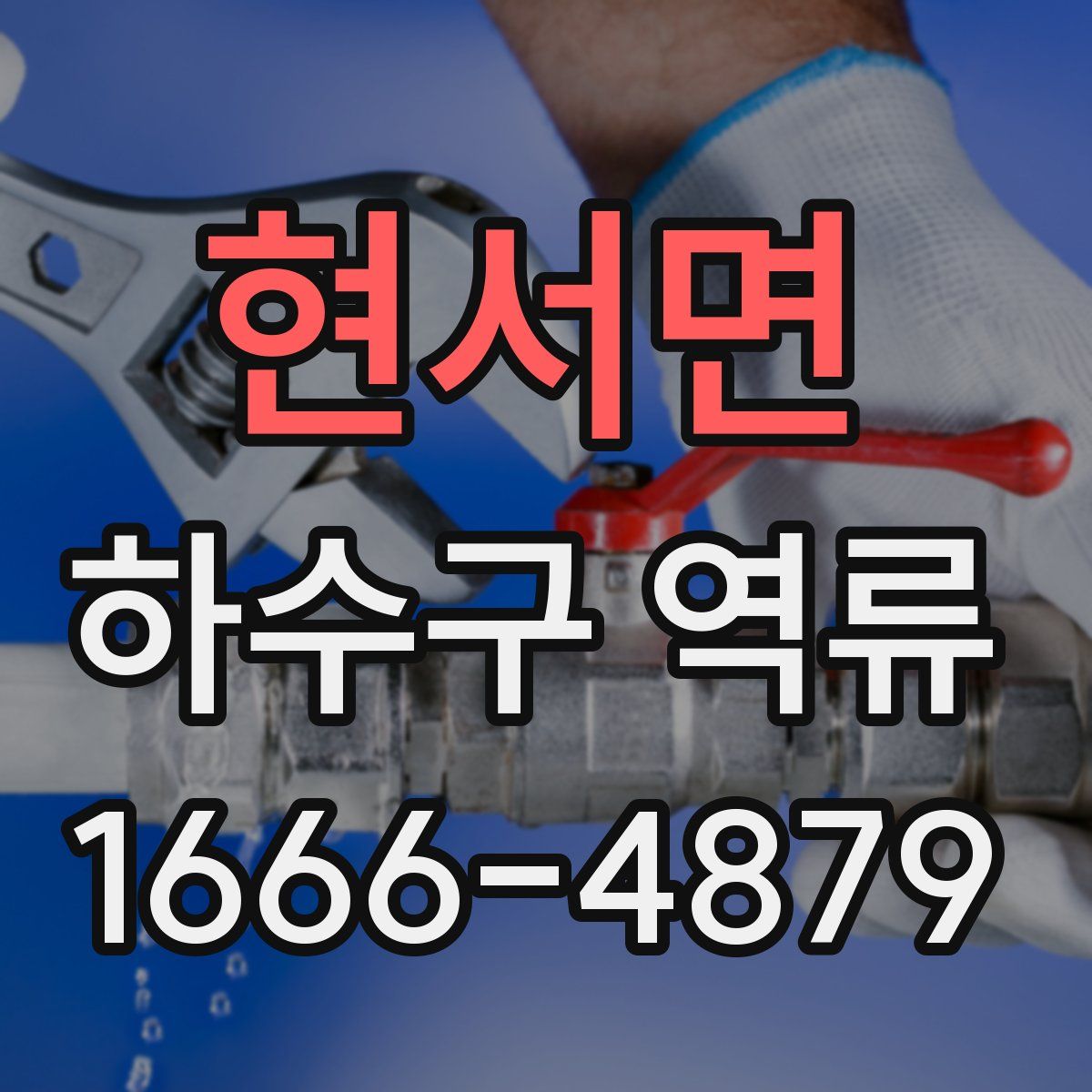 현서면 하수구 역류