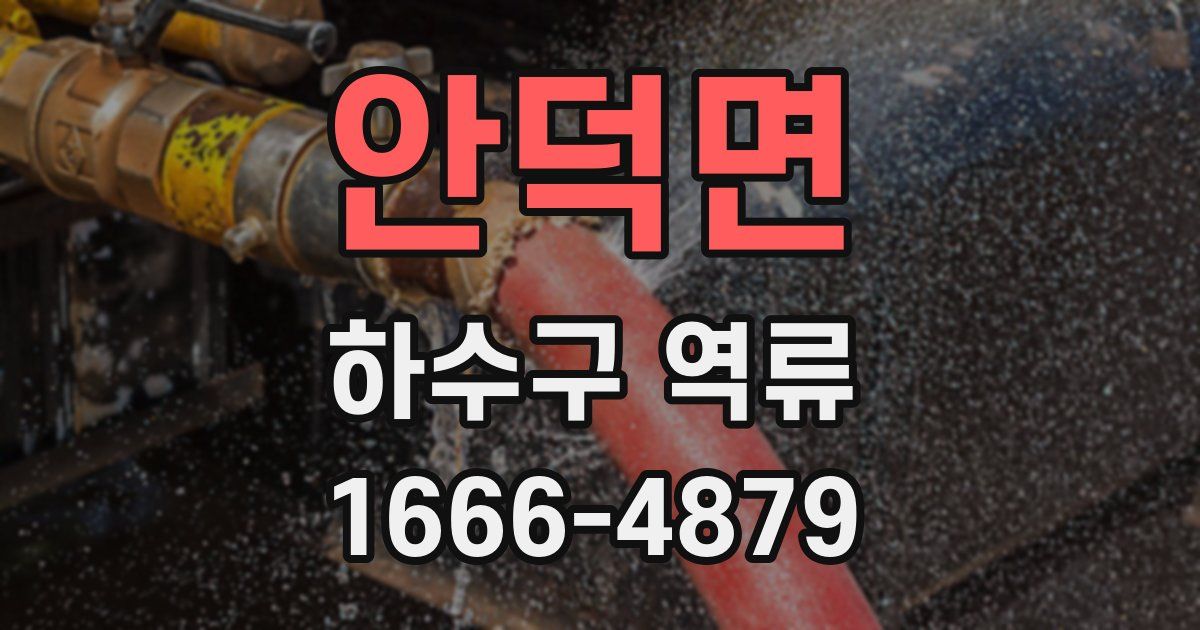 안덕면 하수구 역류