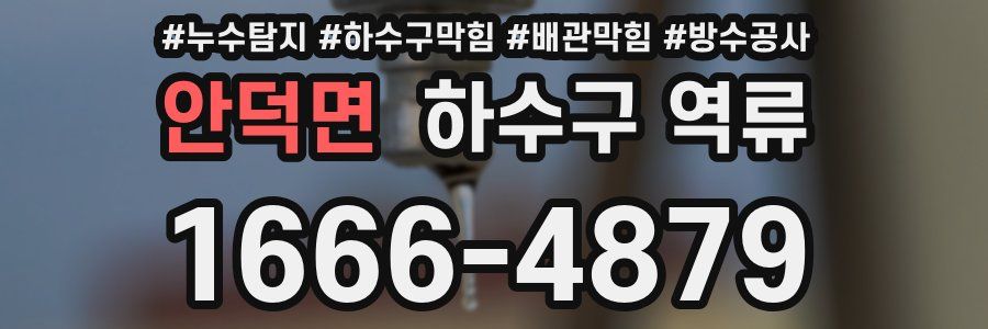 안덕면 하수구 역류