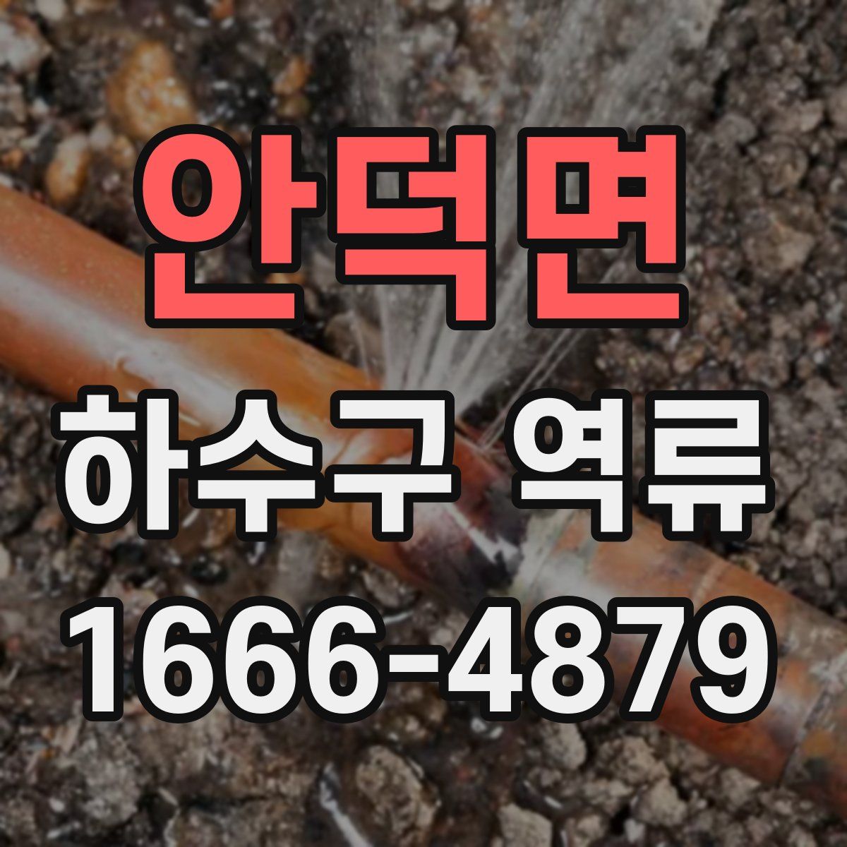 안덕면 하수구 역류