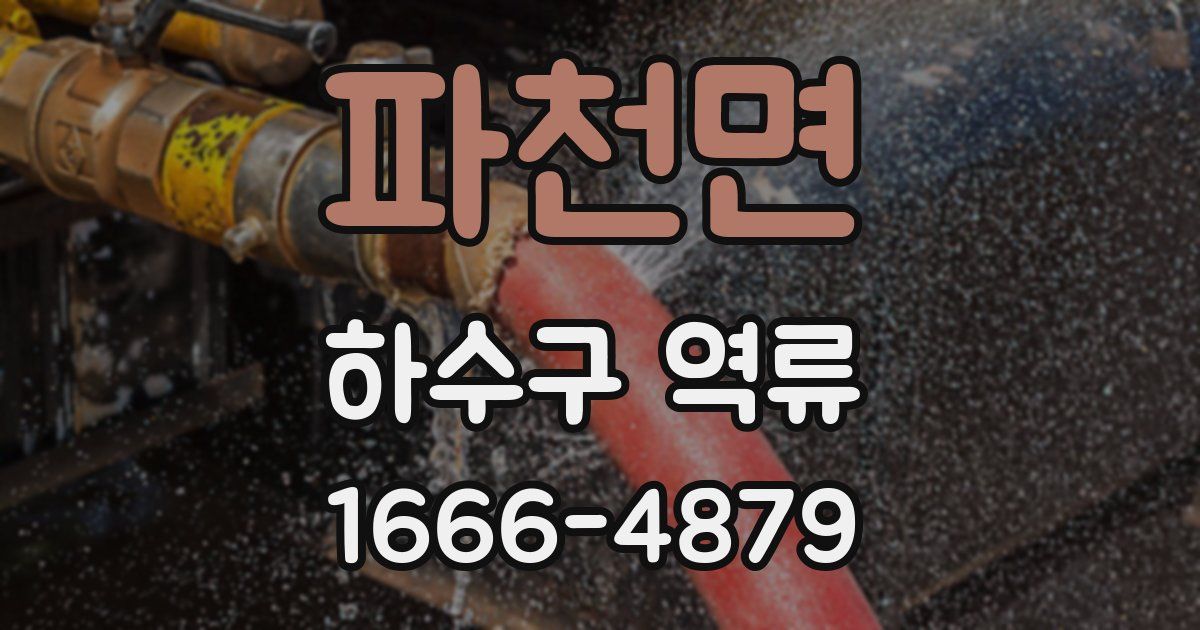 파천면 하수구 역류