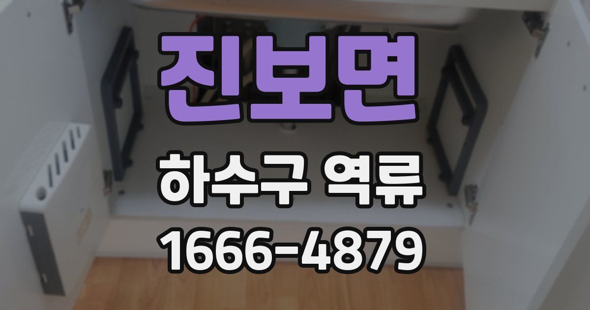 진보면 하수구 역류