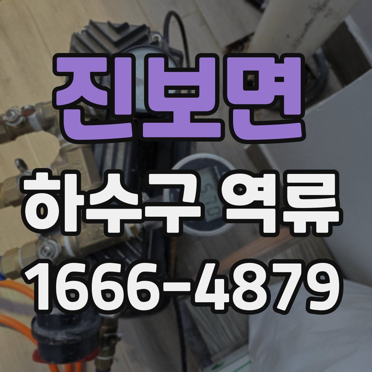 진보면 하수구 역류