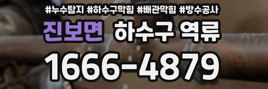 진보면 하수구 역류