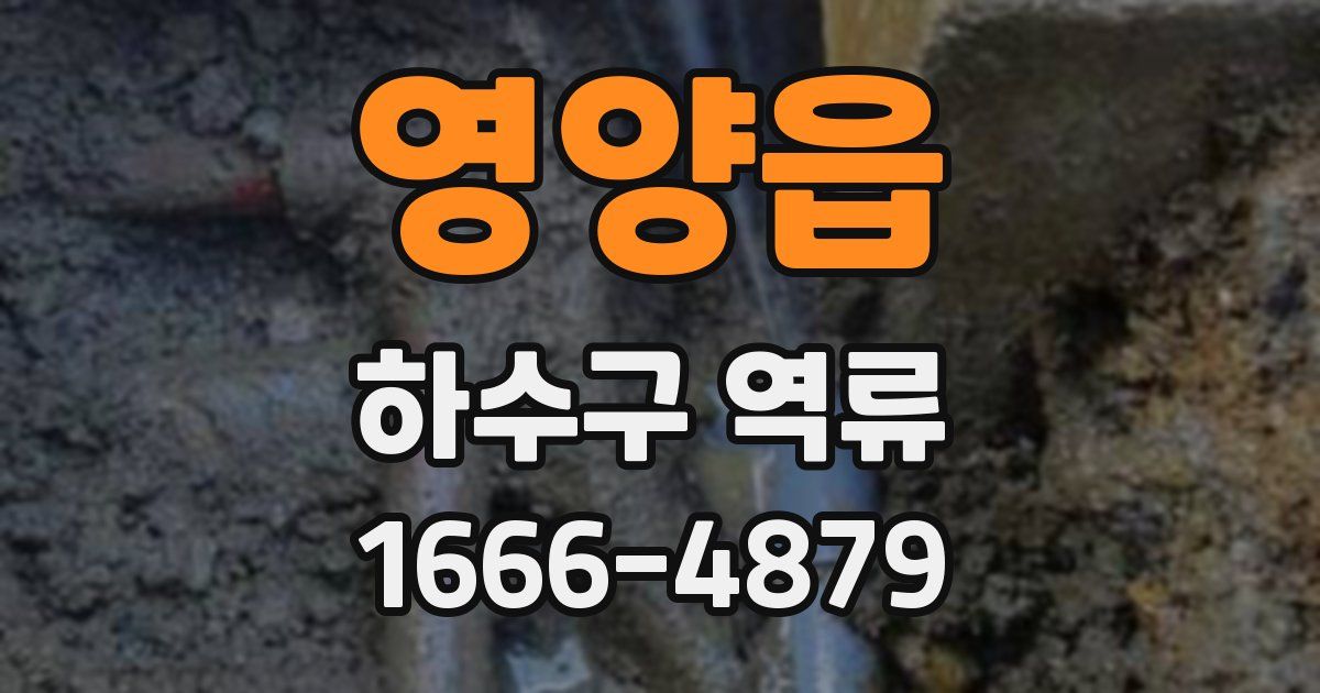 영양읍 하수구 역류
