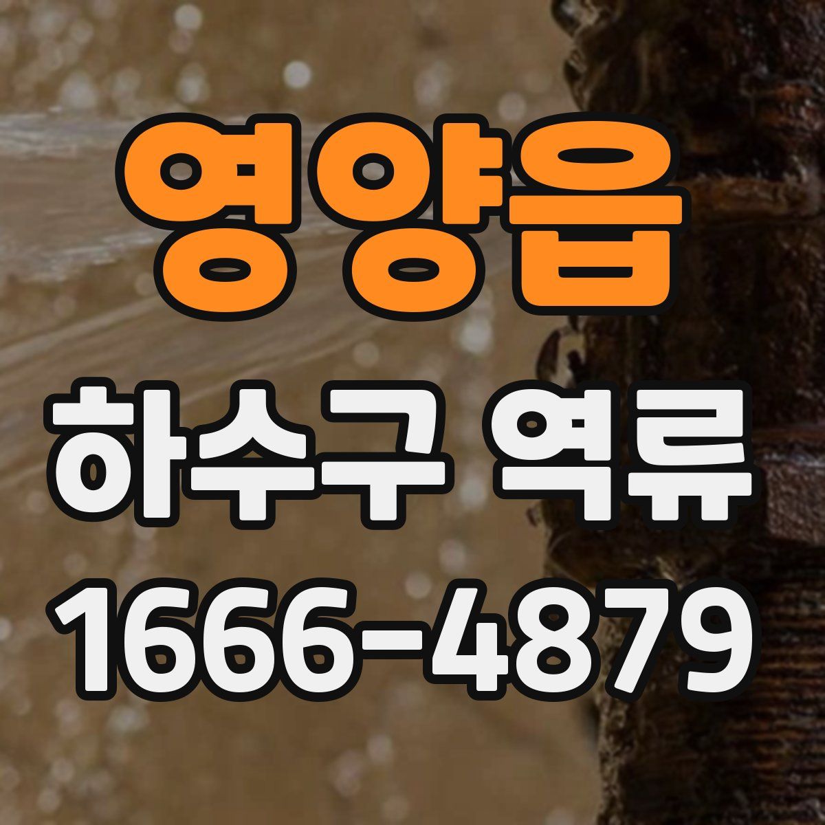 영양읍 하수구 역류