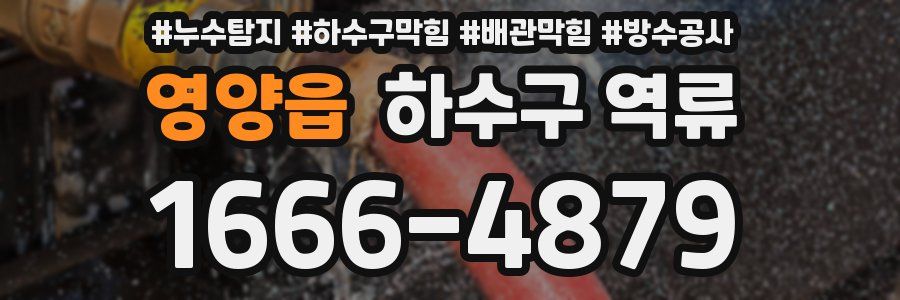 영양읍 하수구 역류