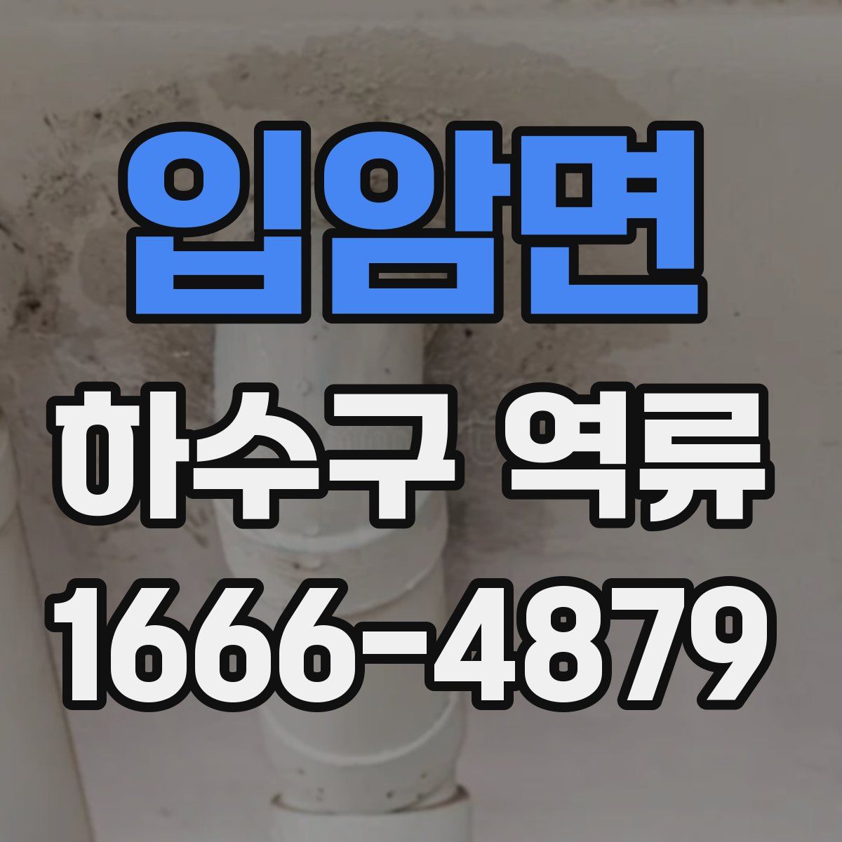 입암면 하수구 역류