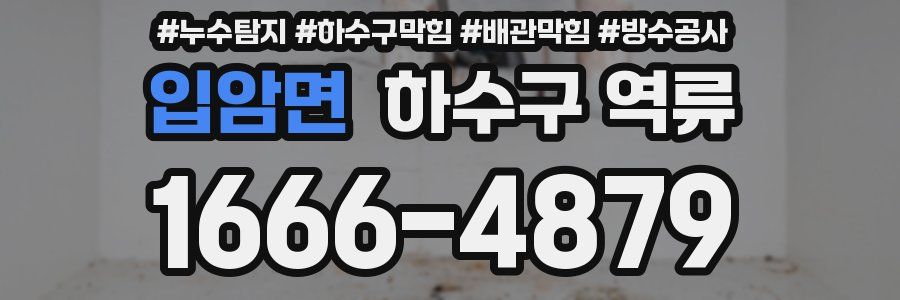 입암면 하수구 역류