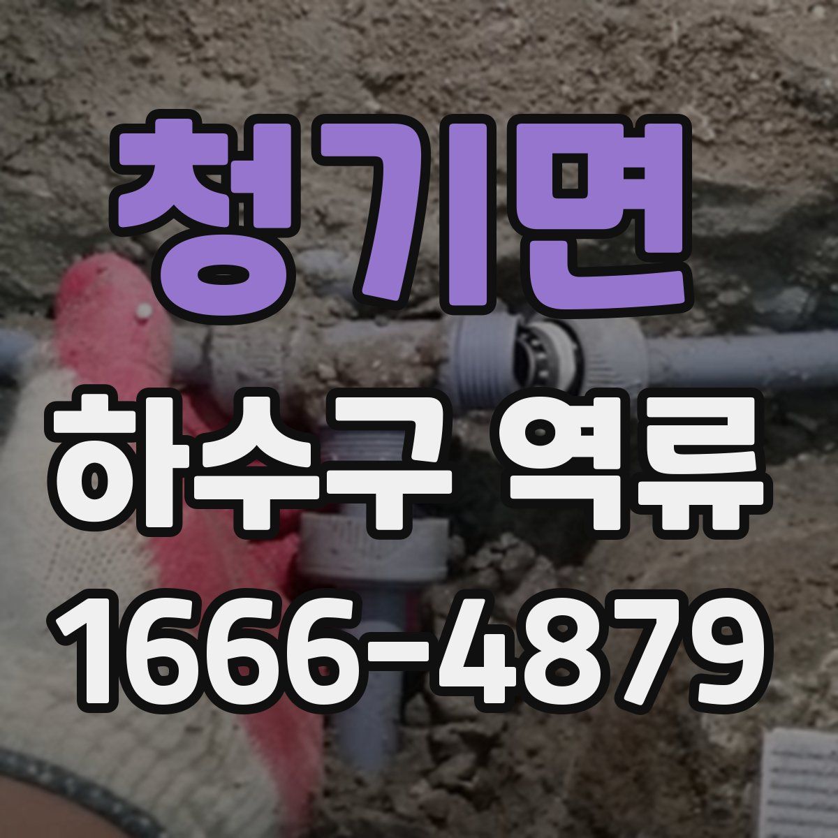 청기면 하수구 역류