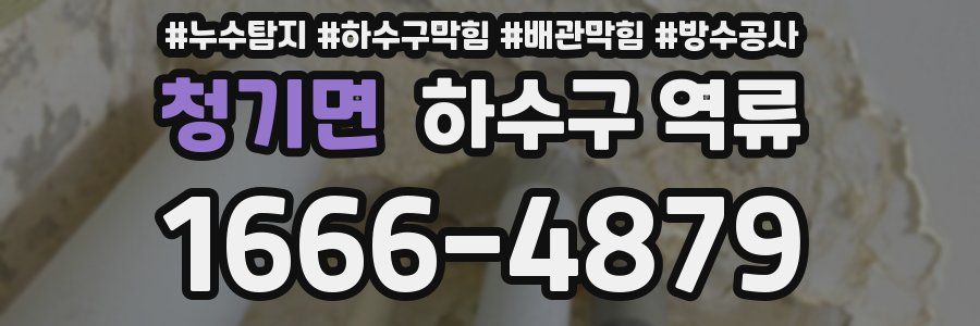 청기면 하수구 역류