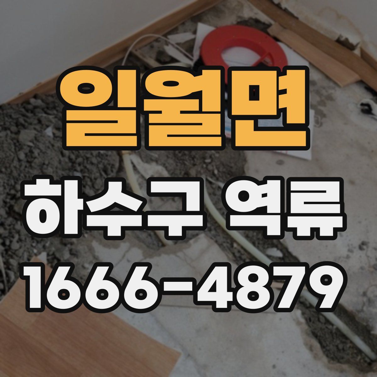 일월면 하수구 역류