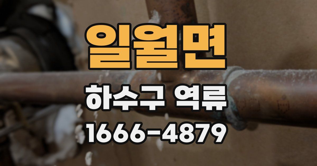 일월면 하수구 역류