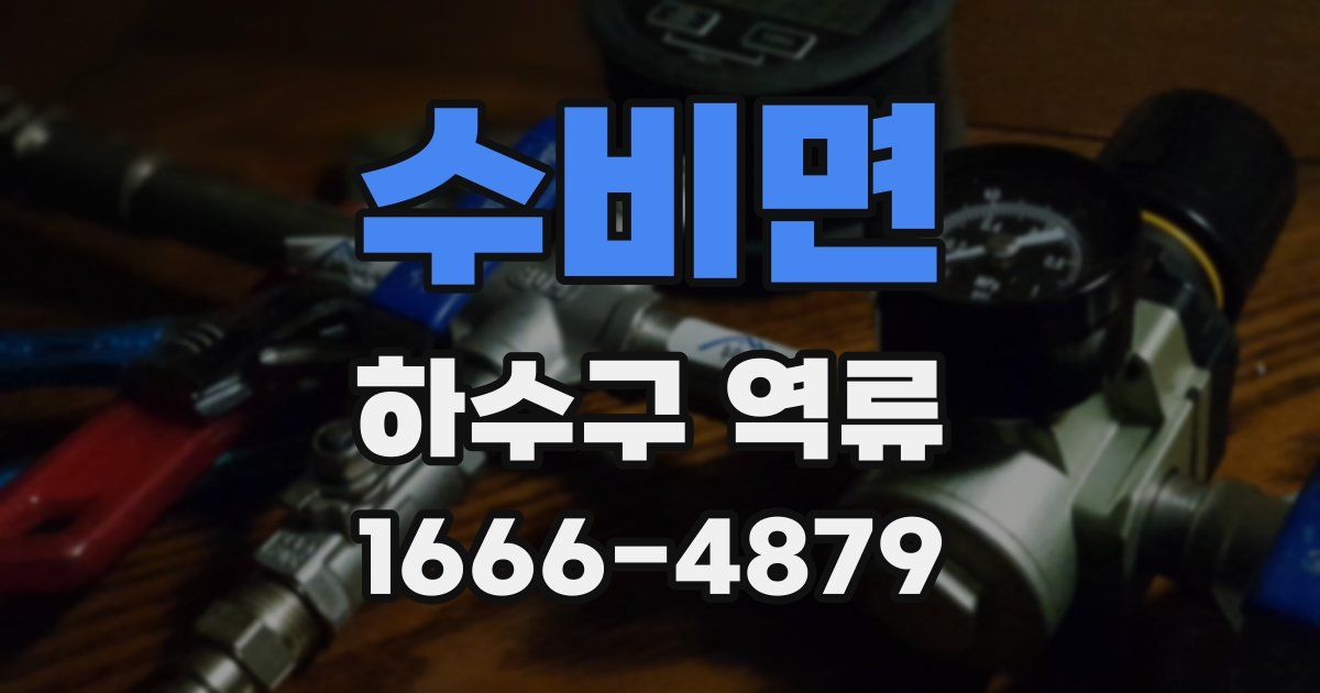 수비면 하수구 역류