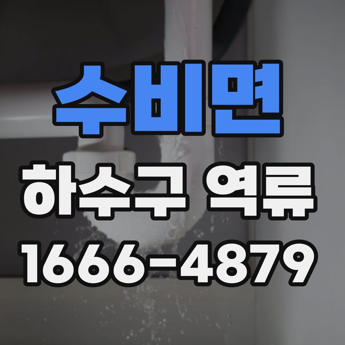 수비면 하수구 역류