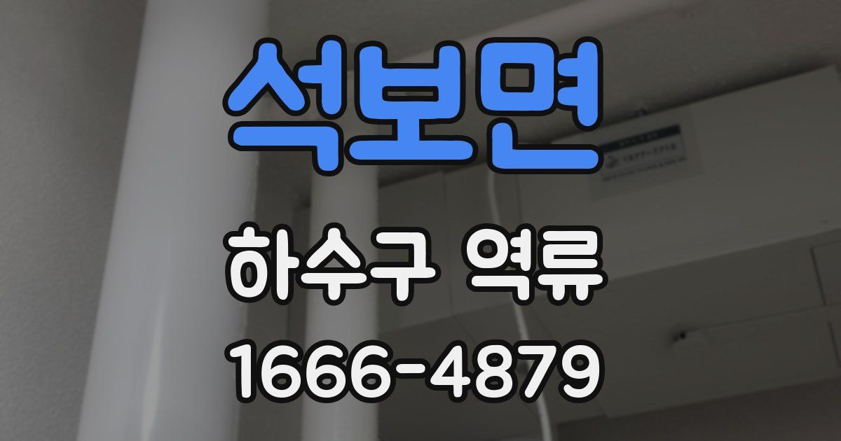석보면 하수구 역류