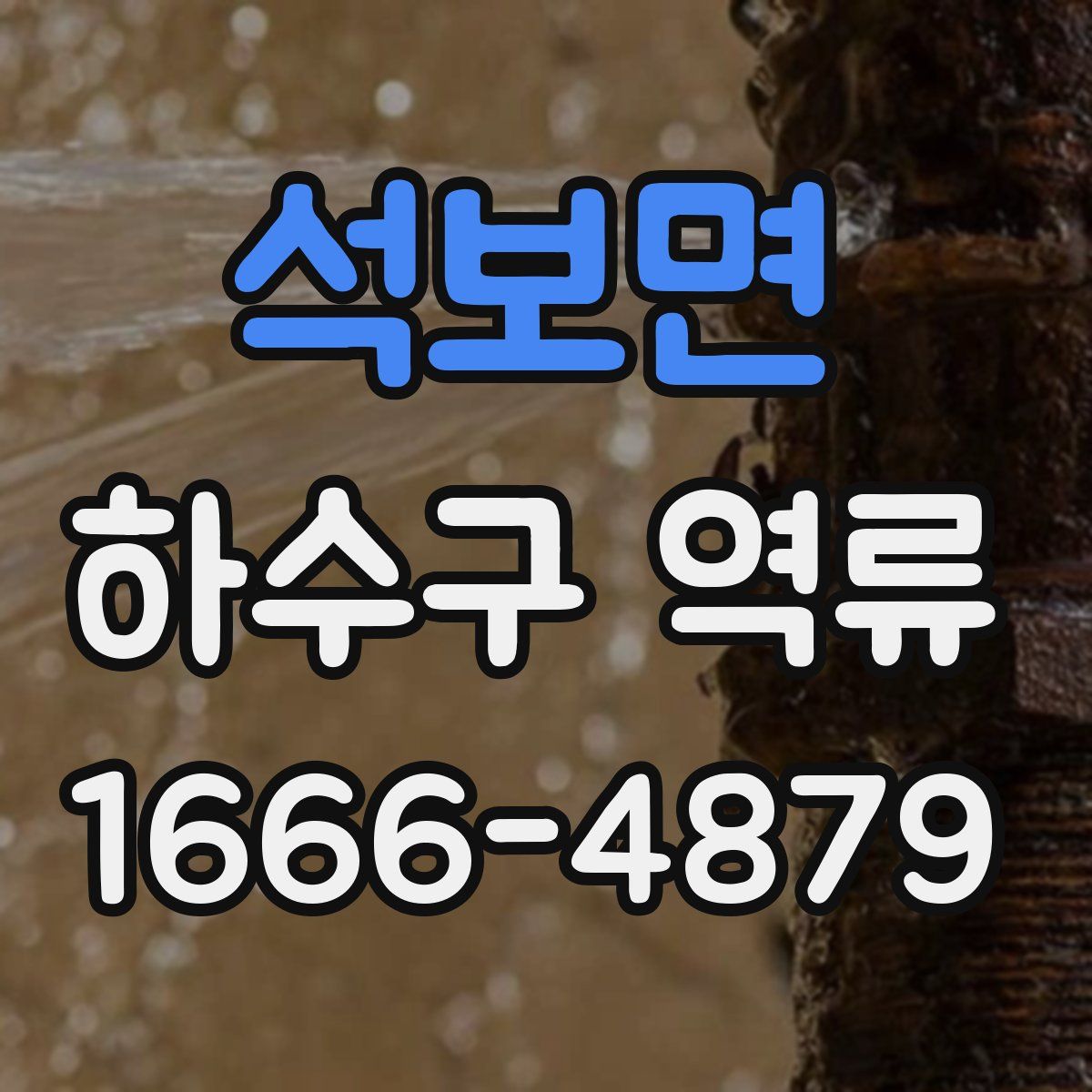 석보면 하수구 역류
