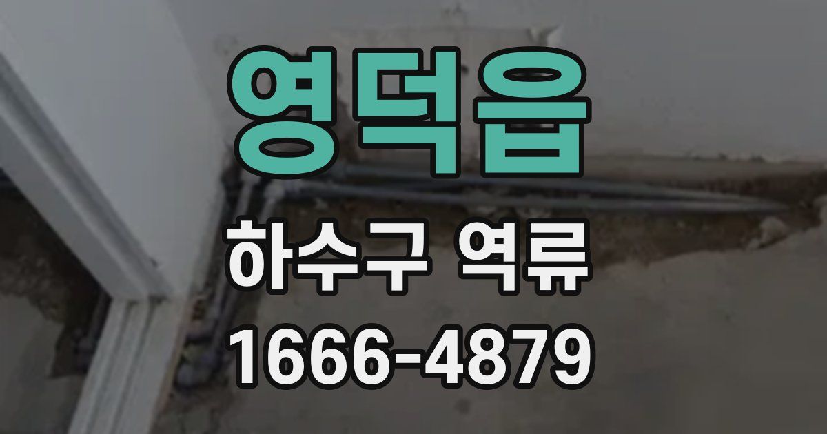 영덕읍 하수구 역류