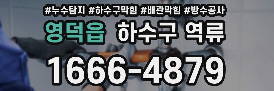 영덕읍 하수구 역류