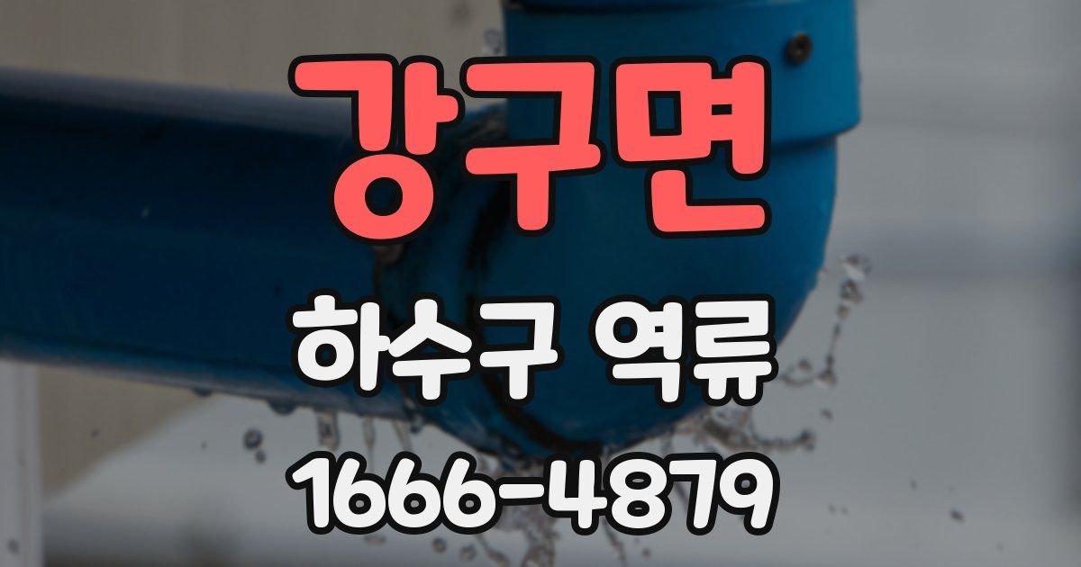 강구면 하수구 역류