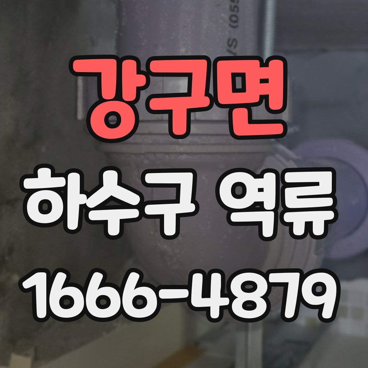강구면 하수구 역류